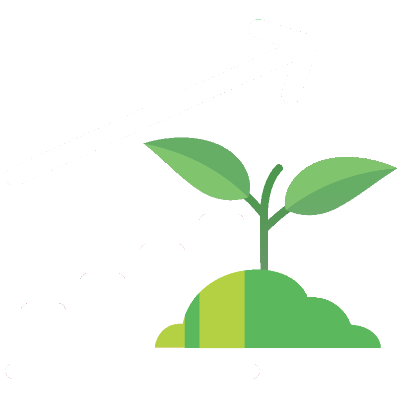 SW Software Branding