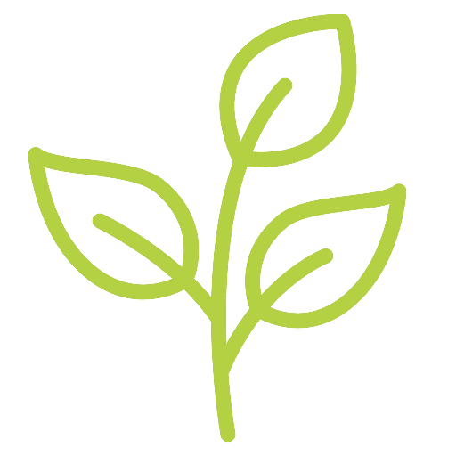 Desarrollo de Páginas web en Guadalajara